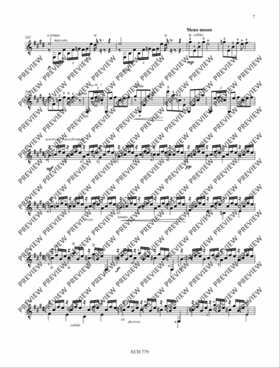 Tales of Greiffenberg Guitar scores gallery preview page 8