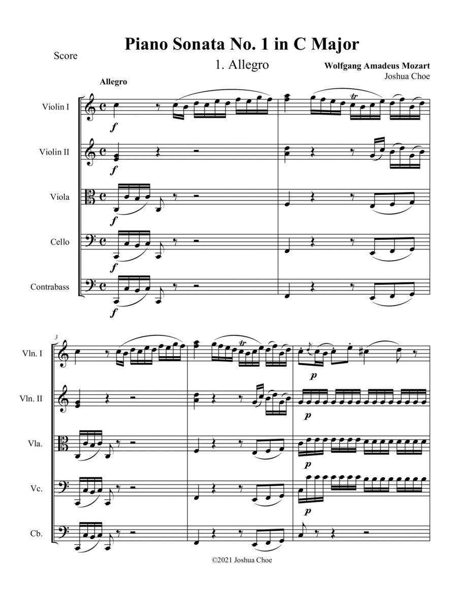 Piano Sonata No. 1 Piano Sonata No. 1 String Orchestra scores gallery preview page 1