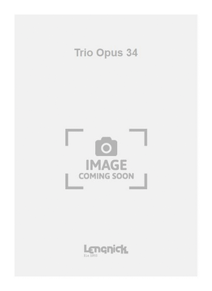 Book cover for Trio Opus 34