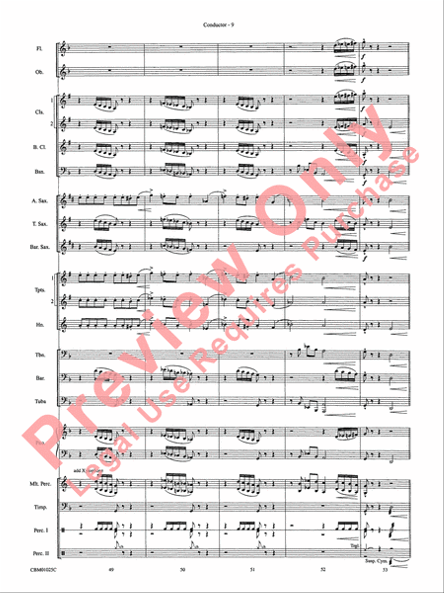 Hedwig's Theme - Cb Concert Band scores gallery preview page 12