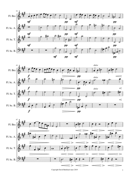 César Franck - Quasi Marcia Op. 22 (4 recorders) image number null
