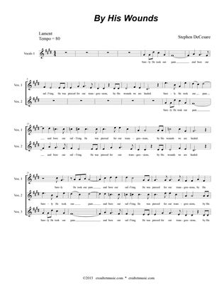 The Seven Last Words Of Christ (Choir/Vocal Score)
