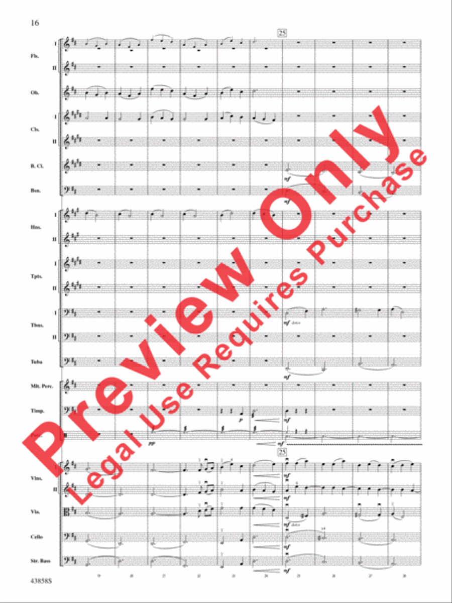 A Northumbrian Folk Song Suite Full Orchestra scores gallery preview page 17