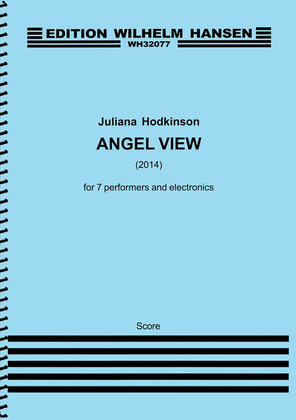 Book cover for Angel View