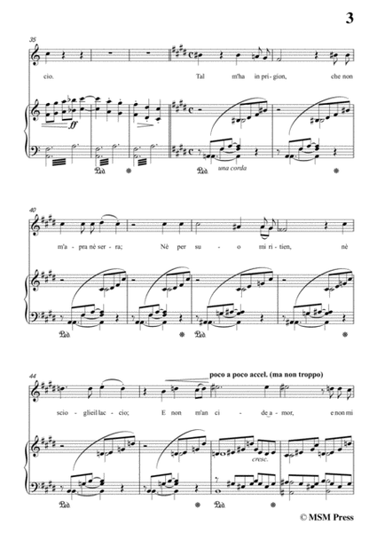 Liszt-Pace non trovo in f minor,for Voice and Piano image number null
