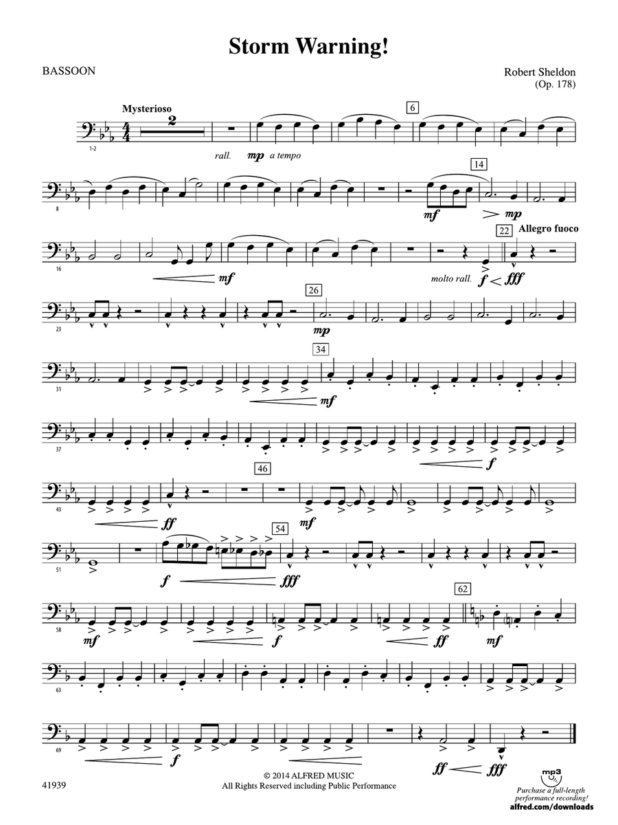 Storm Warning!: Bassoon