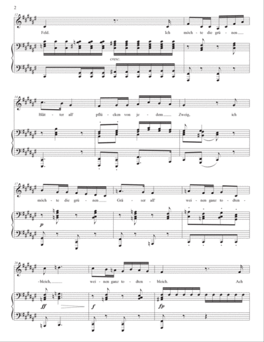 SCHUBERT: Die böse Farbe, D. 795 no. 17 (transposed to F-sharp major) Voice scores gallery preview page 3