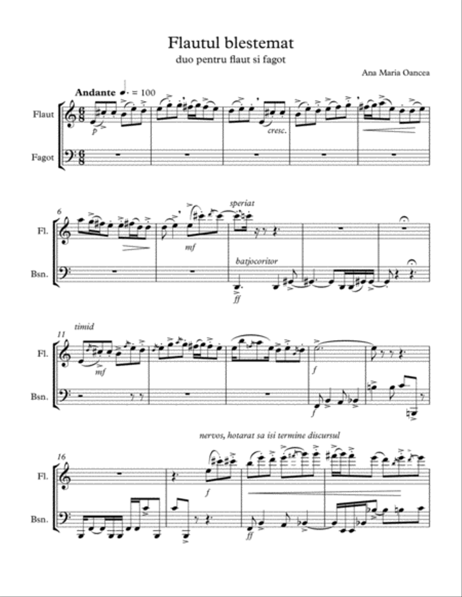 The Cursed Flute (Flautul blestemat) - duo for flute and bassoon Woodwind Duet scores gallery preview page 1