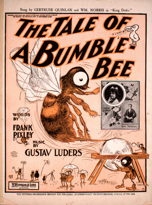 The Tale of a Bumble Bee