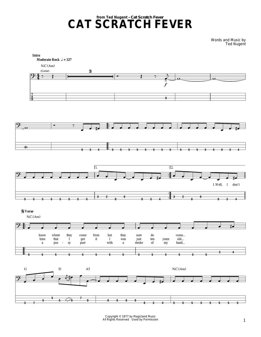 Cat Scratch Fever Acoustic Guitar scores gallery preview page 1