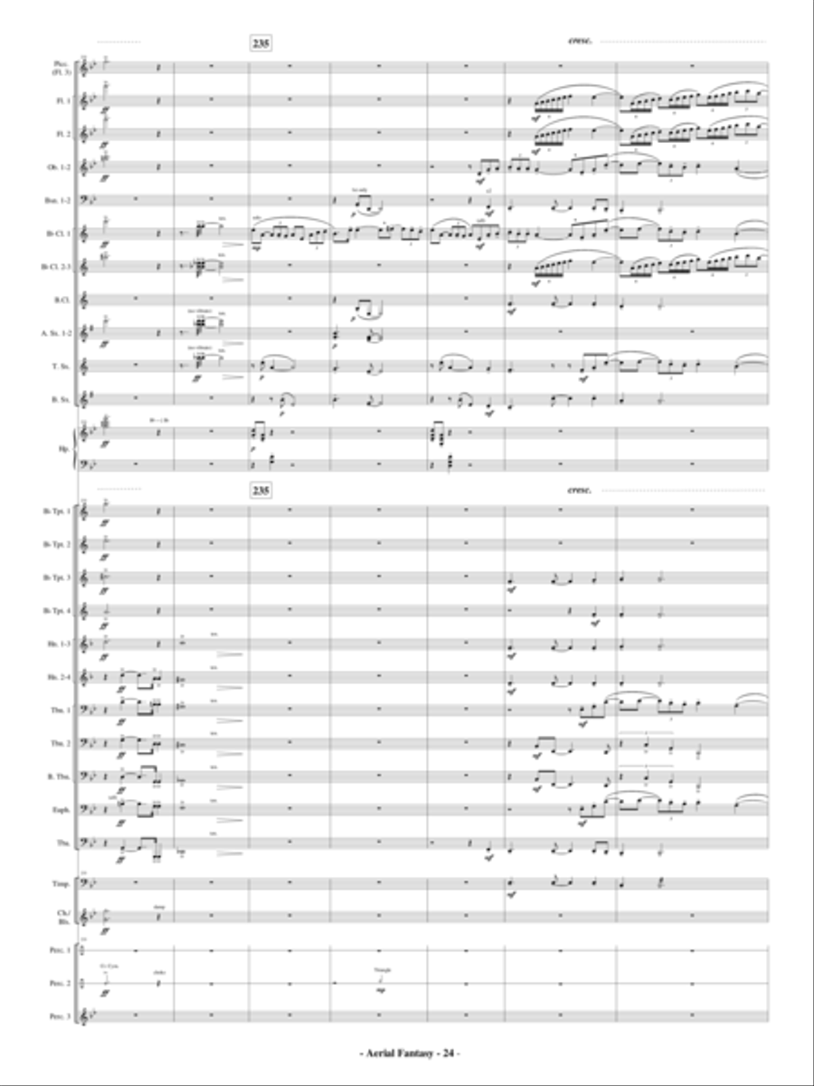 Aerial Fantasy Aerial Fantasy Concert Band scores gallery preview page 25