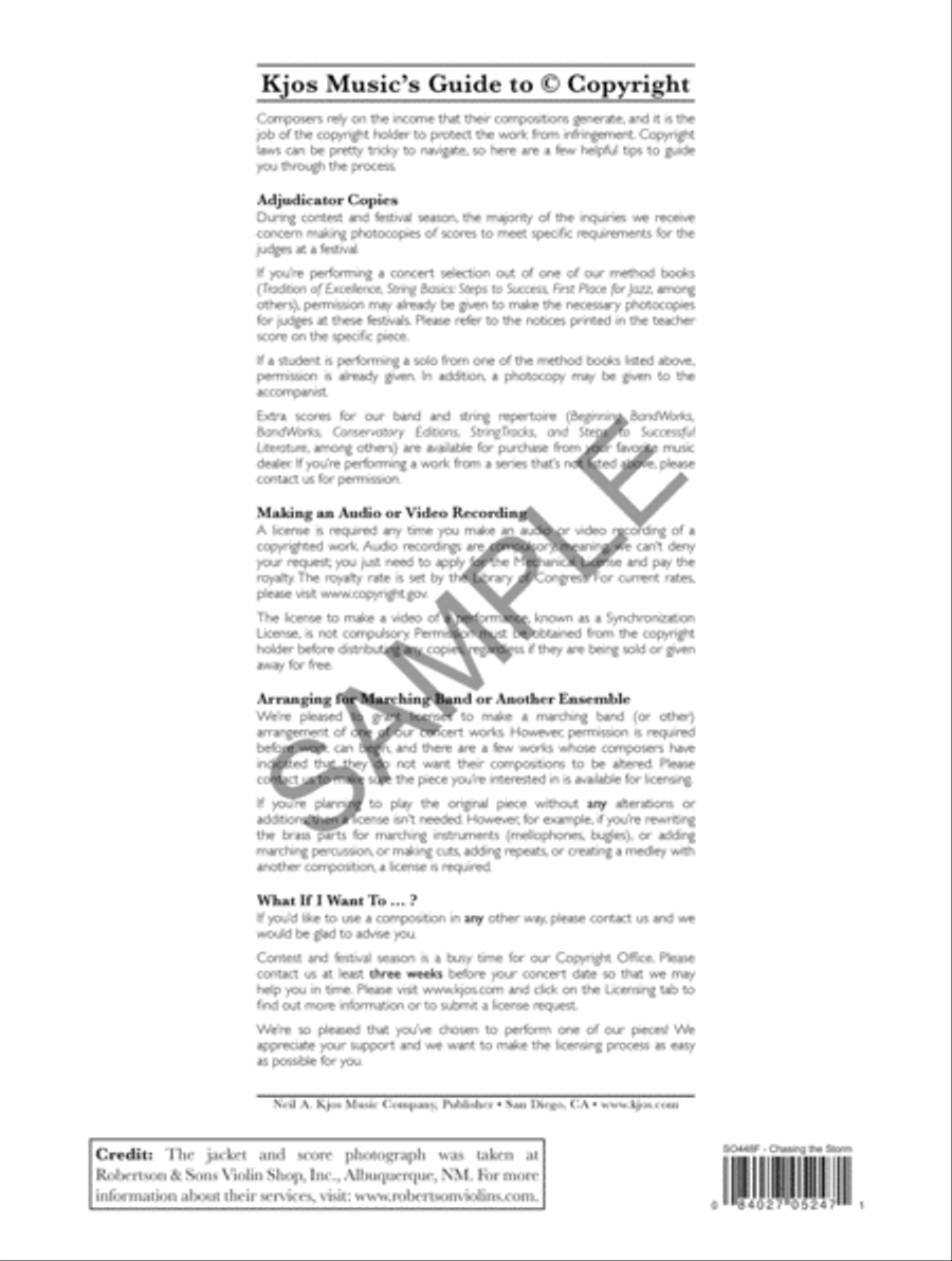 Chasing the Storm - Score String Orchestra scores gallery preview page 13