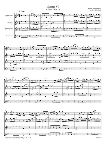 Triosonate VI in G Dur BWV 530