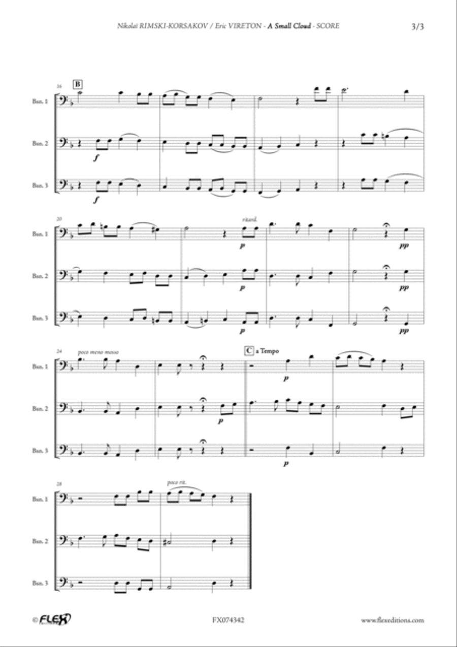 A Small Cloud Woodwind Trio scores gallery preview page 3