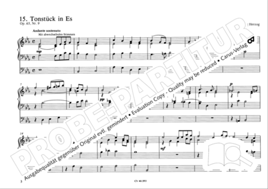 Free Organ Music from the Romantic Period, Vol. I (Freie Orgelmusik der Romantik, Band I) Organ scores gallery preview page 39