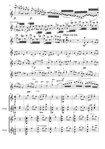 Capriccio B 81 - Concert Rondo for Violin and Piano