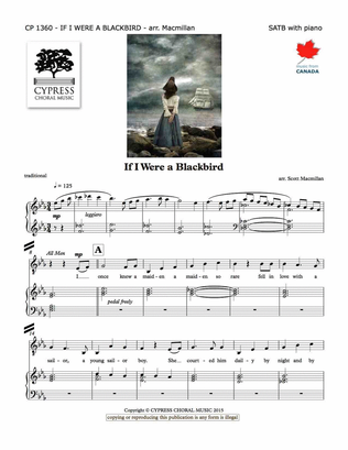 Book cover for If I Were a Blackbird