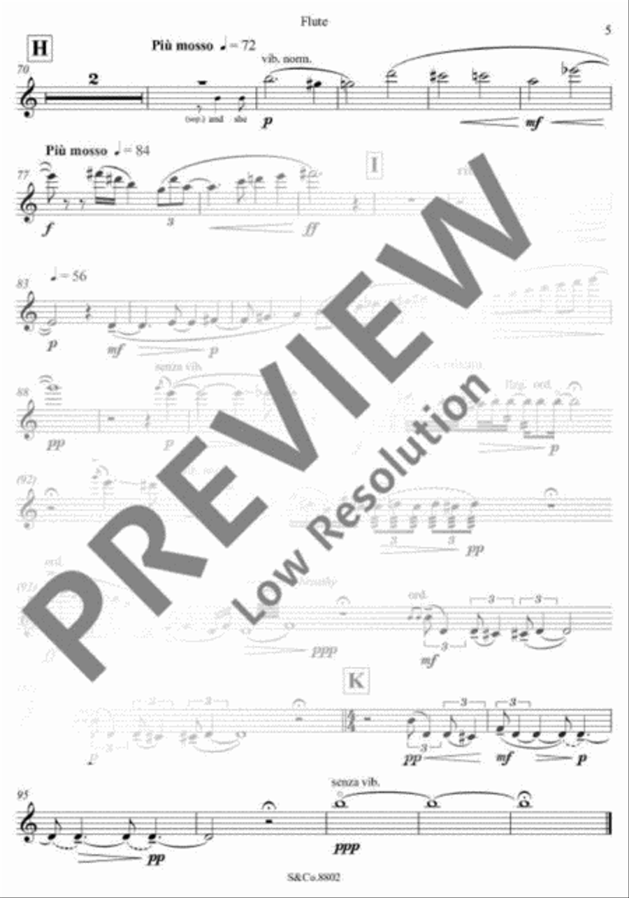 The Knight's Stone Flute Solo scores gallery preview page 8