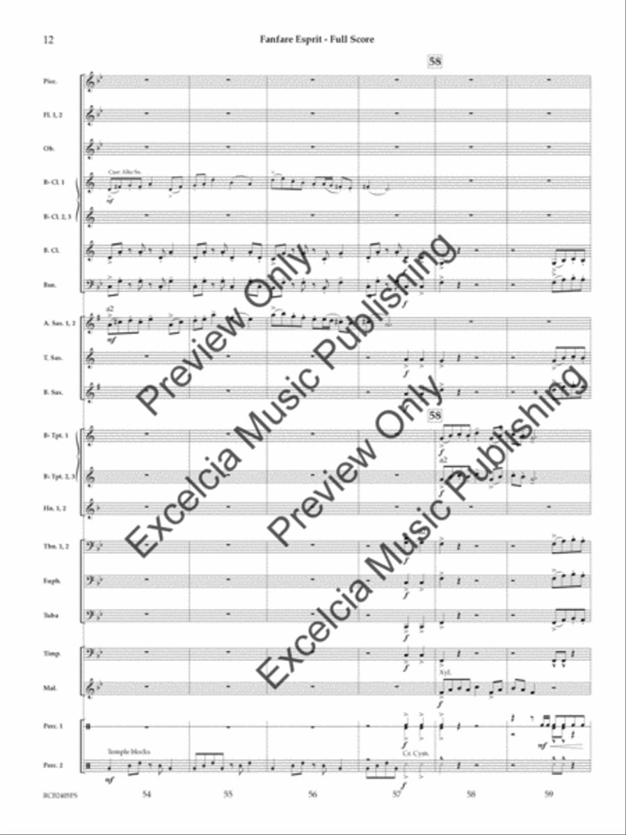 Fanfare Esprit Concert Band scores gallery preview page 13