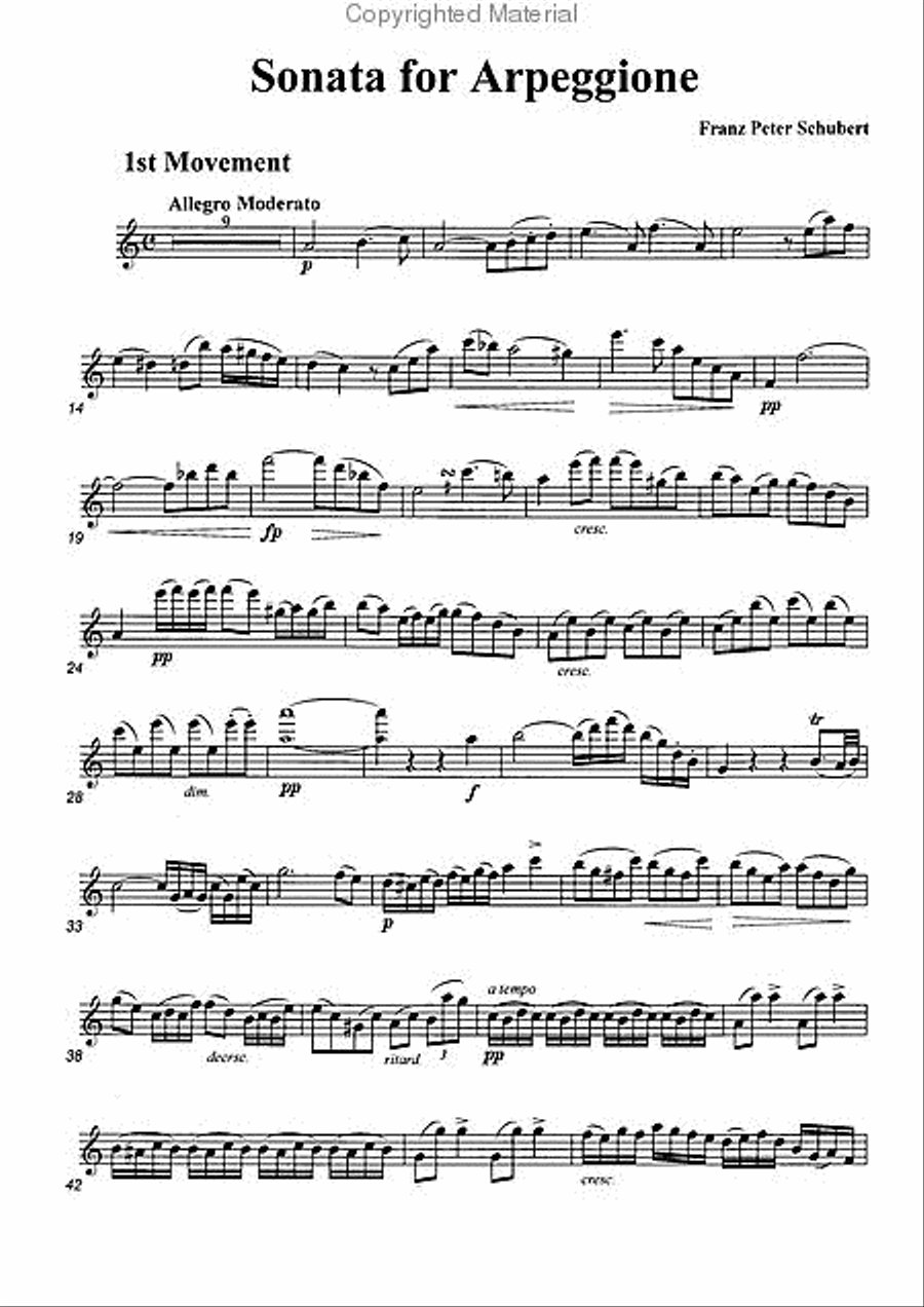 Sonata for Arpeggione 1st Movement Alto Recorder scores gallery preview page 2
