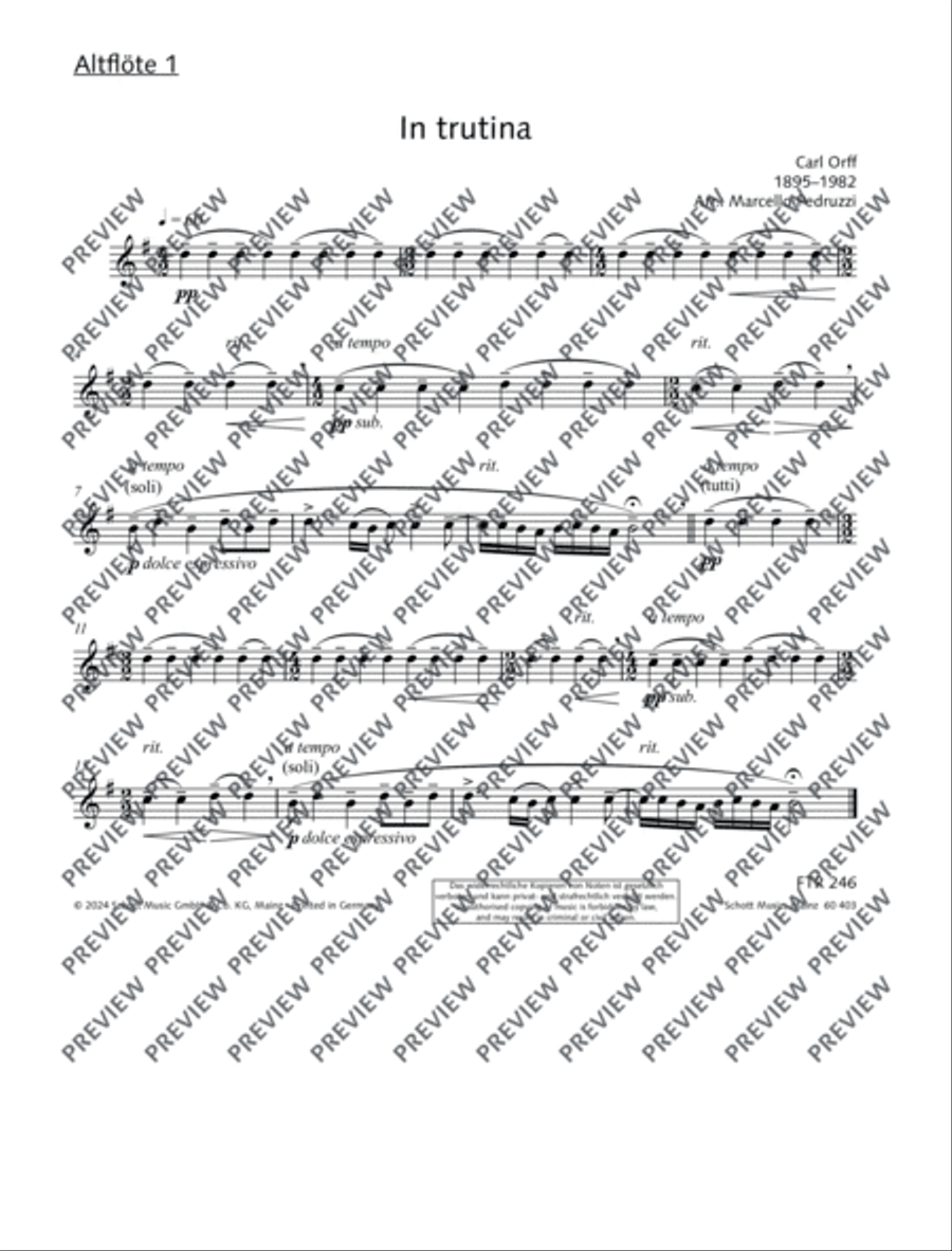 In trutina Flute Choir scores gallery preview page 11