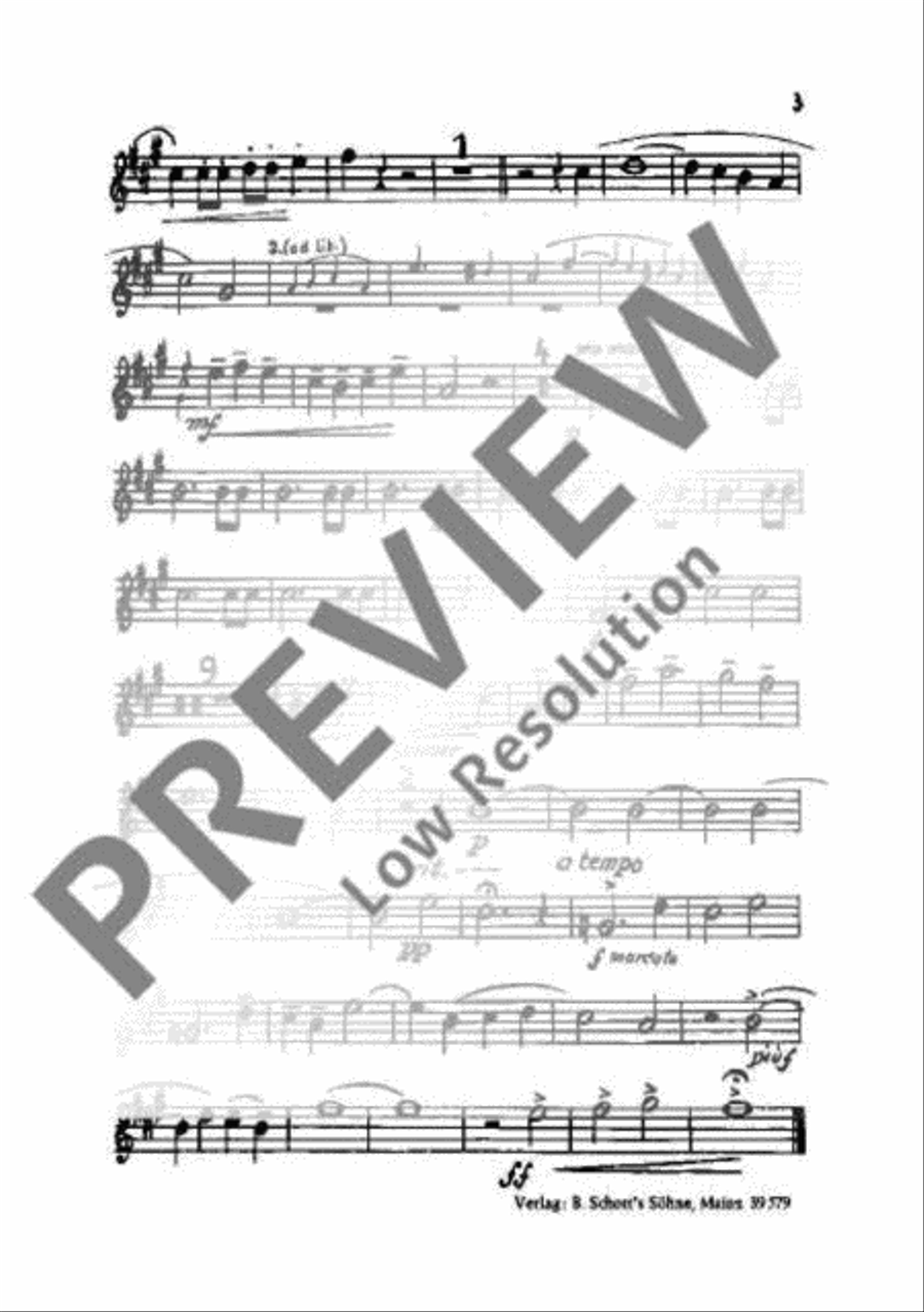 Wandspruch-Kantate TTBB scores gallery preview page 16