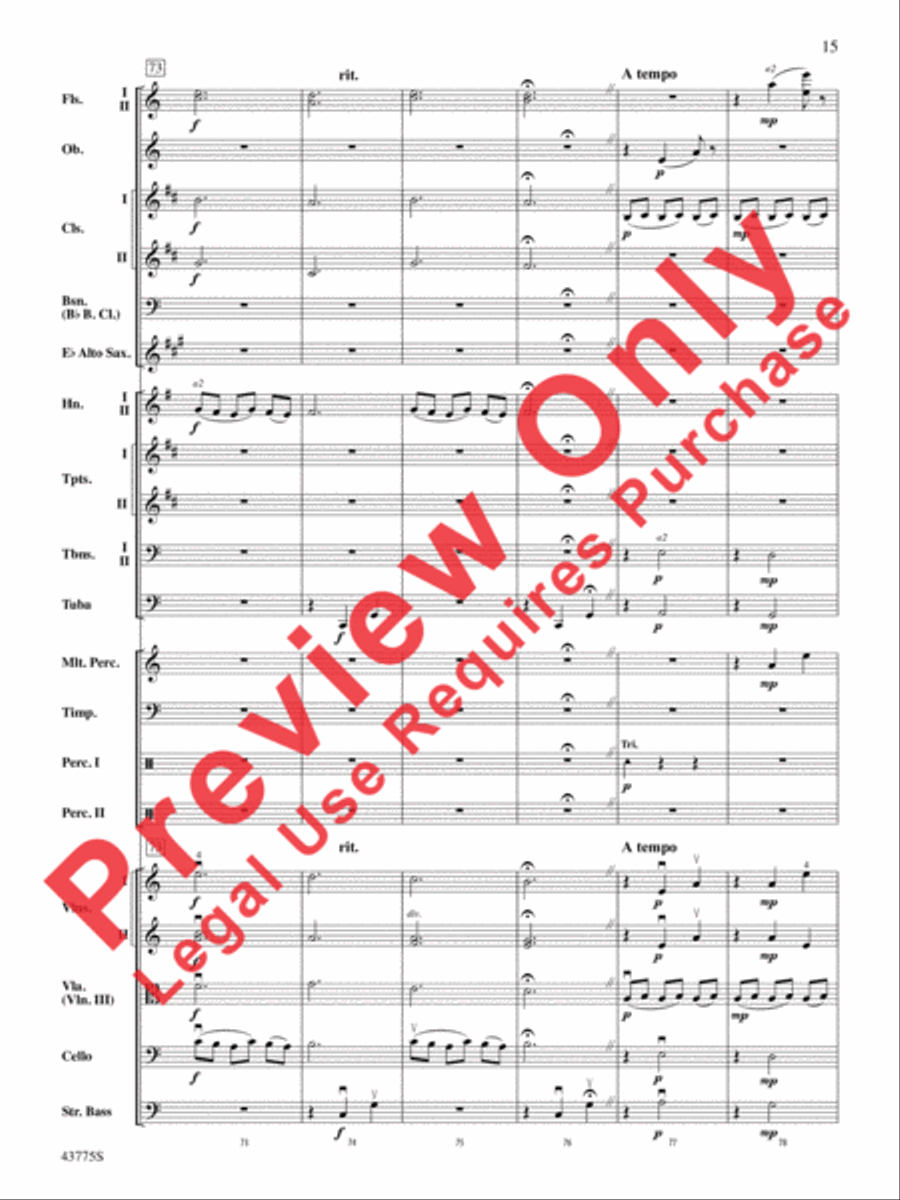 Ancient Echoes of Time Ancient Echoes of Time Full Orchestra scores gallery preview page 16