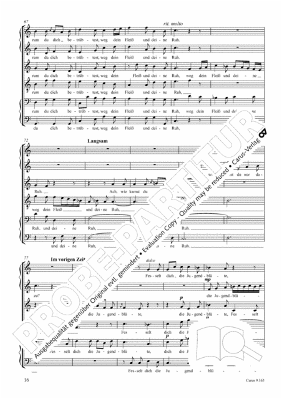 Drei Lieder nach Texten von Goethe Choir scores gallery preview page 17