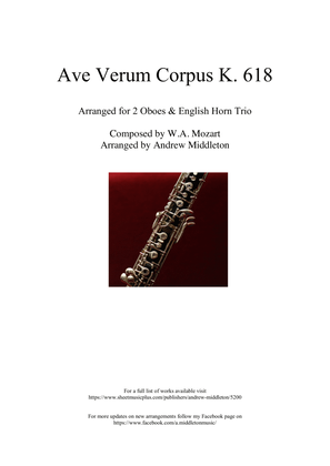 Ave Verum Corpus K. 618 arranged for Double Reed Trio