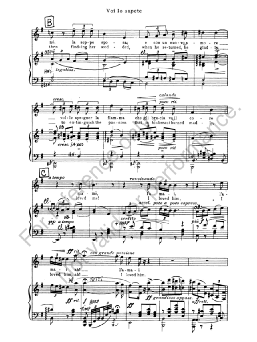 Voi lo Sapete Concert Band scores gallery preview page 4