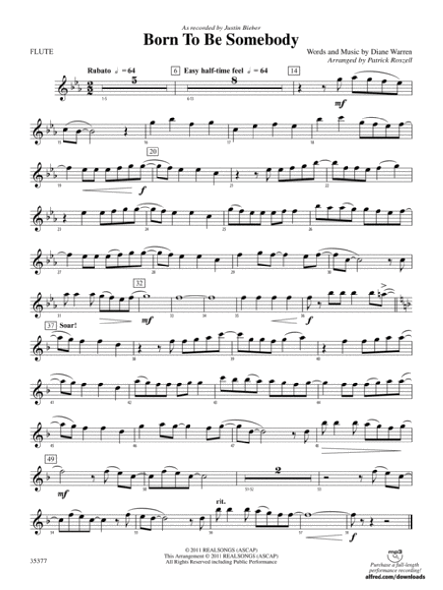 Born to be Somebody: Flute Concert Band scores gallery preview page 1