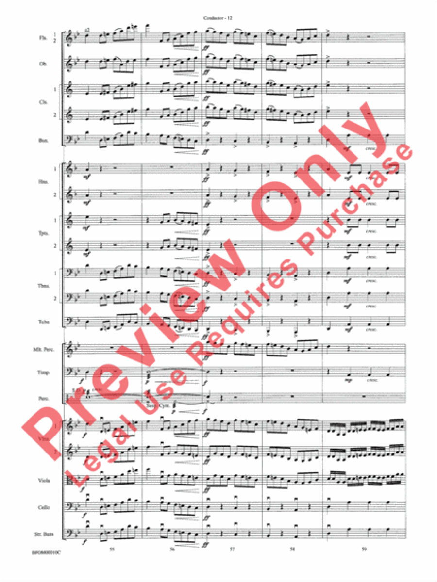Aboriginal Rituals Full Orchestra scores gallery preview page 14