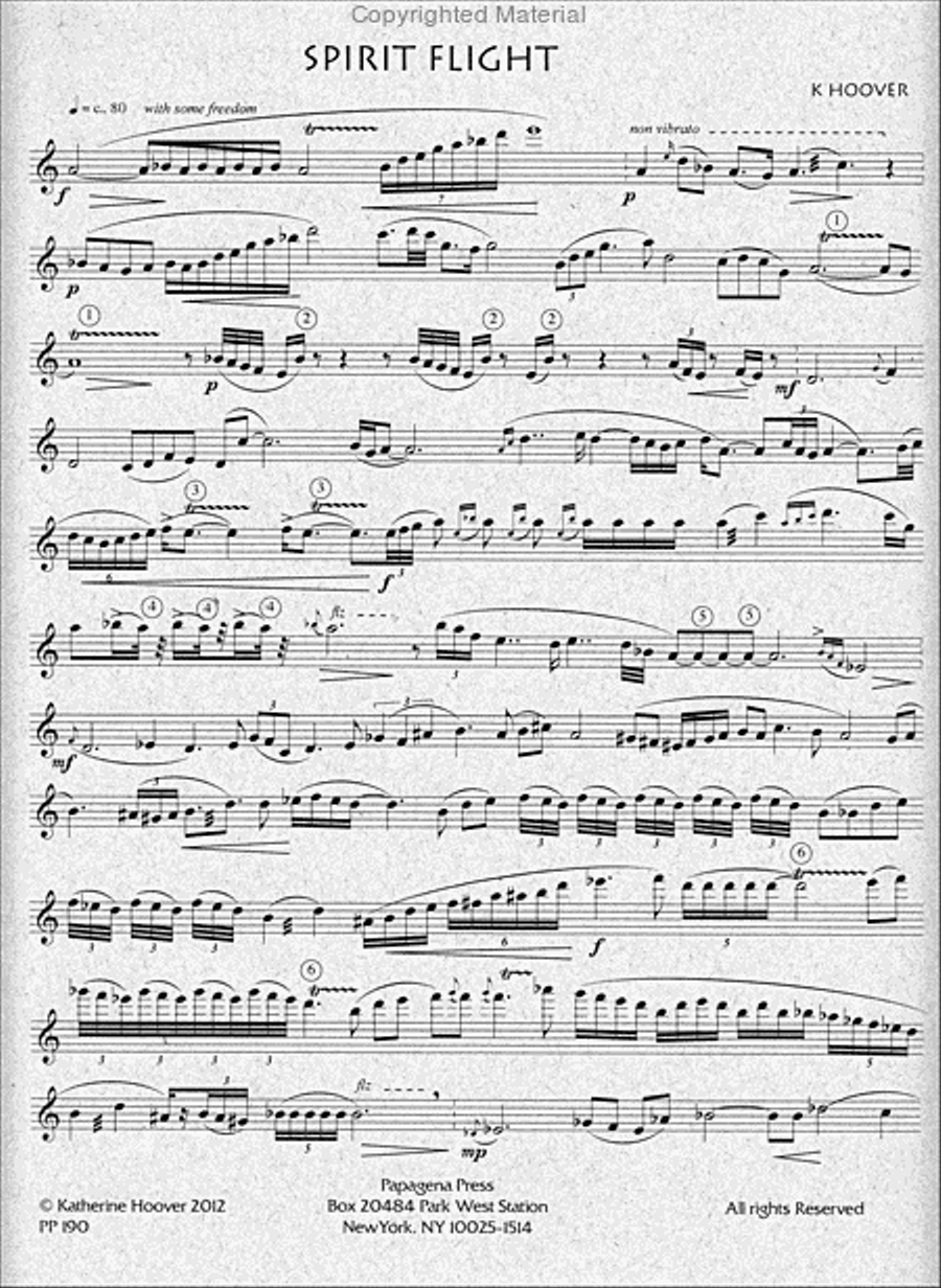 Spirit Flight Spirit Flight Chamber Music scores gallery preview page 2