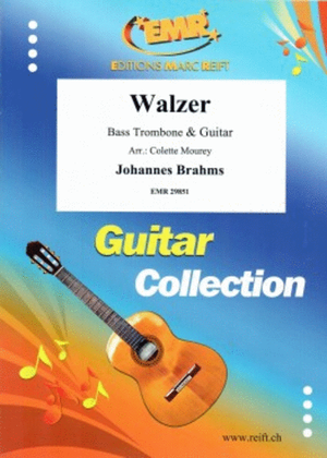 Book cover for Walzer