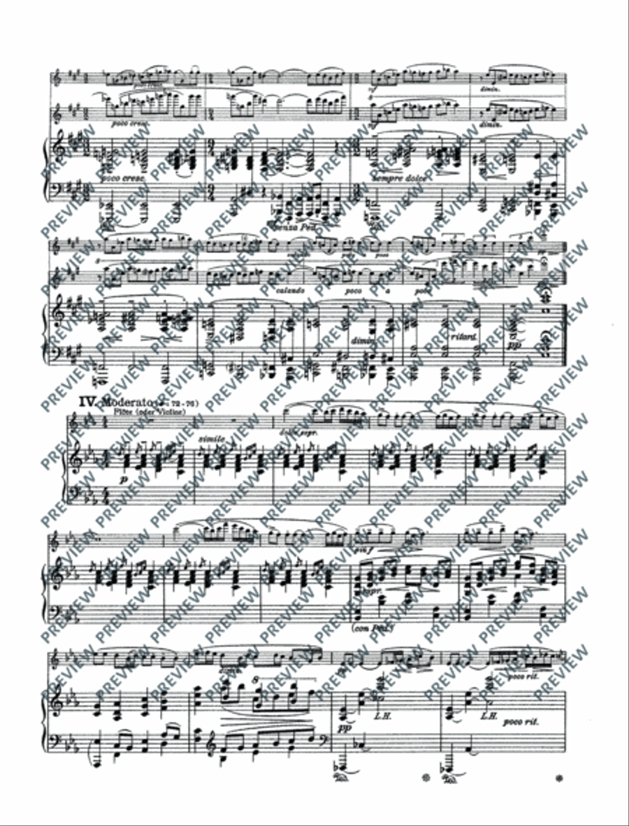 Variations on a theme by Edvard Grieg Flute Solo scores gallery preview page 12