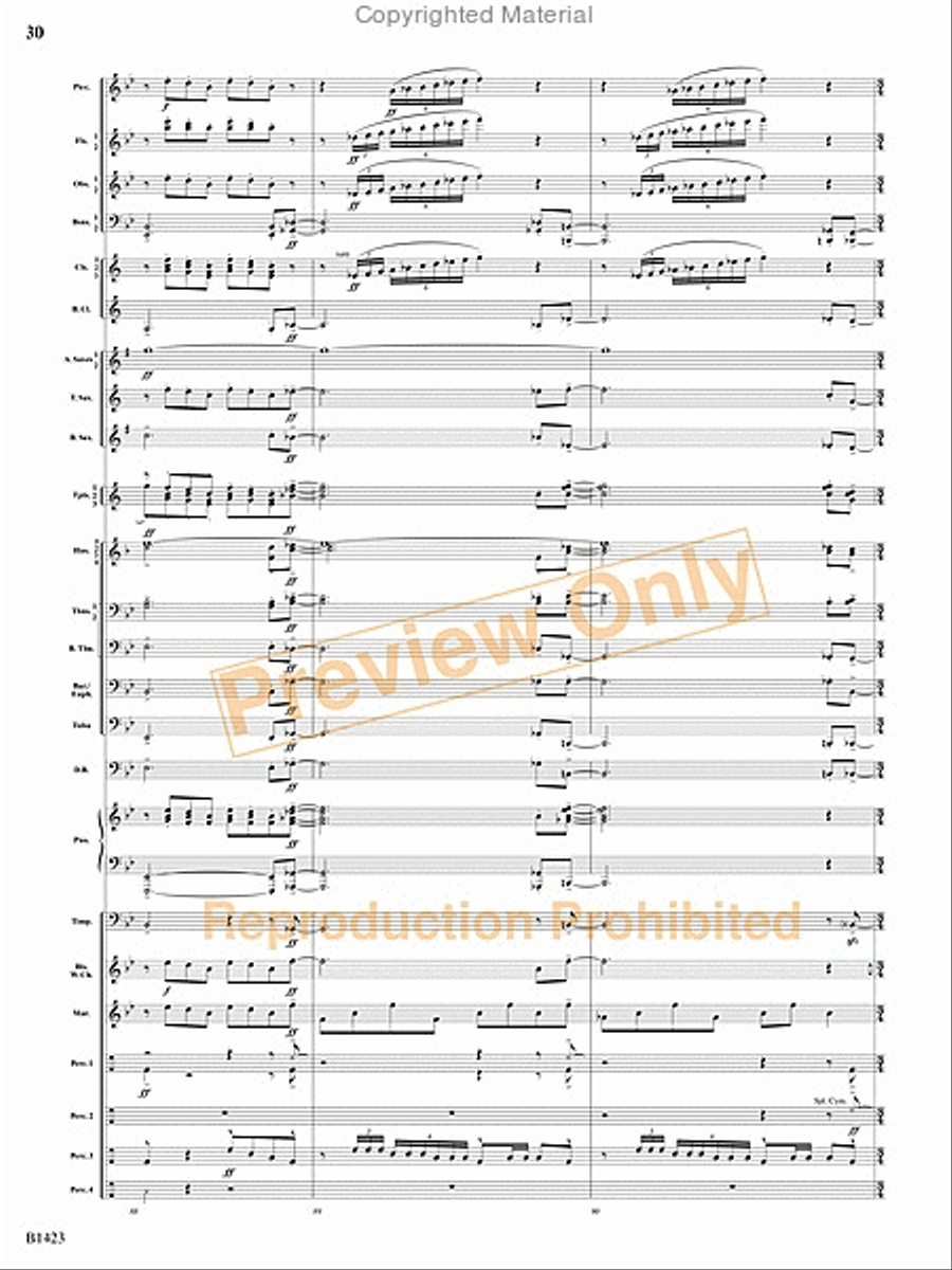 Dakota Fanfare Concert Band scores gallery preview page 29