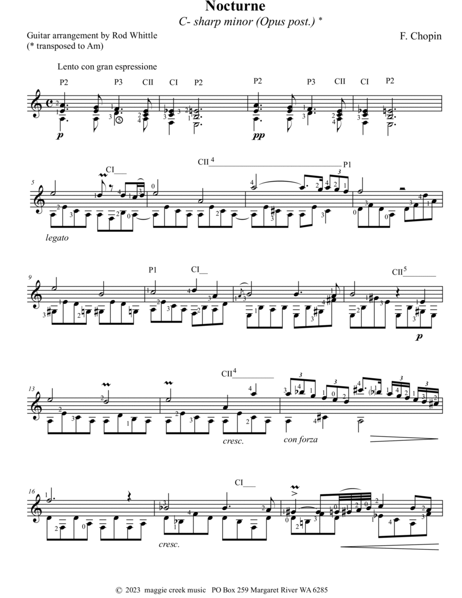 Nocturne C- sharp minor Acoustic Guitar scores gallery preview page 1