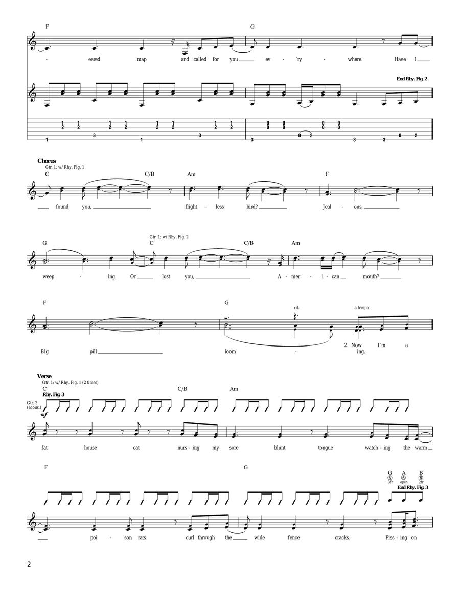 American Mouth, Flightless Bird Acoustic Guitar scores gallery preview page 2