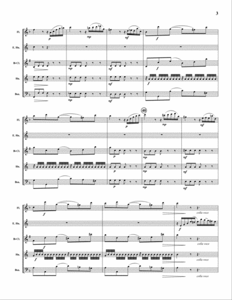 Adagio for English Horn Woodwind Quintet scores gallery preview page 3