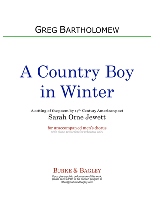 Book cover for A Country Boy in Winter