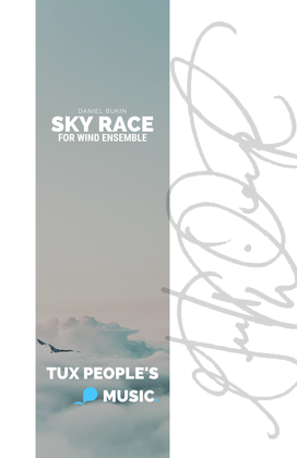Book cover for Sky Race