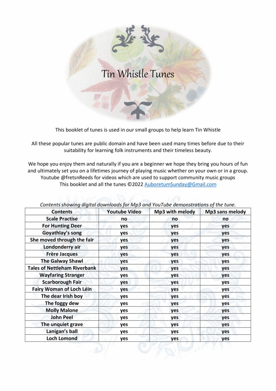 Tin Whistle Tunes -1 Easy Piano scores gallery preview page 1