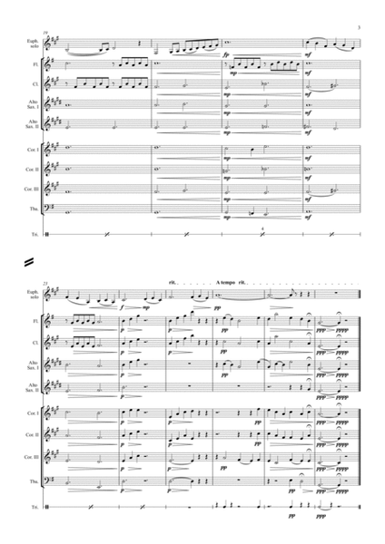 The Swan - for wind orchestra and euphonium (easy version)