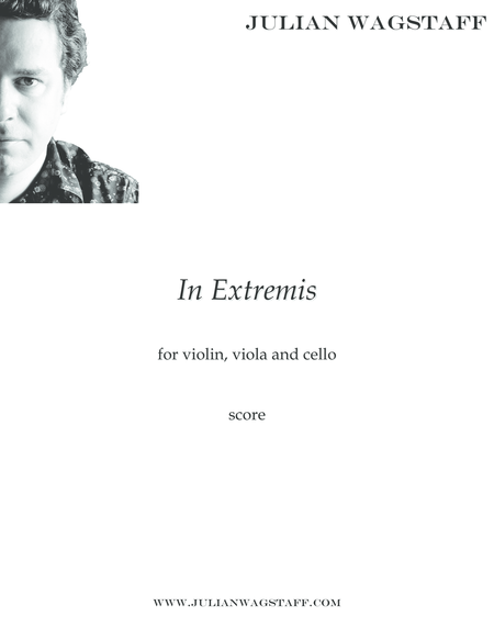 In Extremis (for string trio) - score image number null