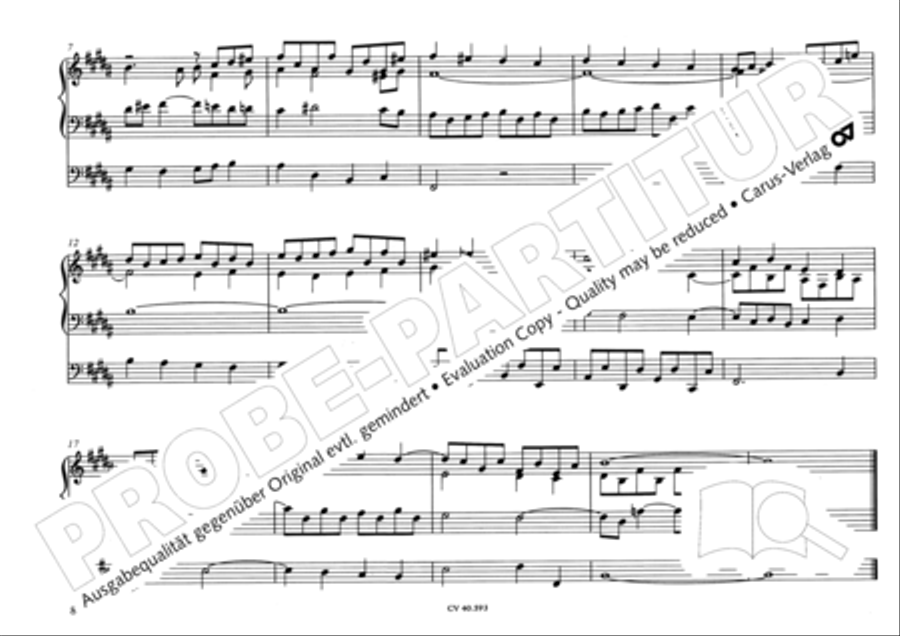 Free Organ Music from the Romantic Period, Vol. I (Freie Orgelmusik der Romantik, Band I) Organ scores gallery preview page 91