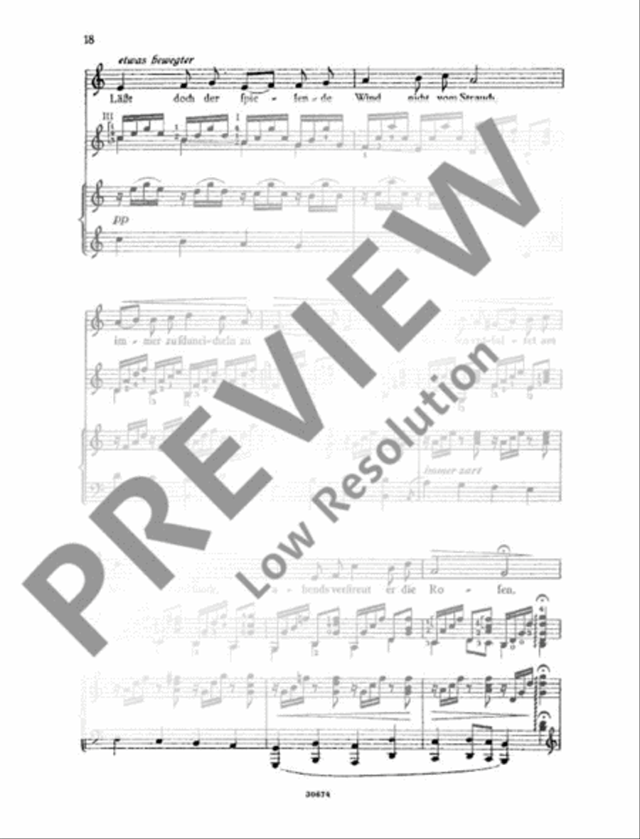 Lieder zur Laute Lieder zur Laute Voice Solo scores gallery preview page 21