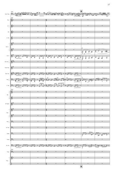 Concerto for Tuba and Wind Band - CONDUCTOR'S SCORE ONLY image number null
