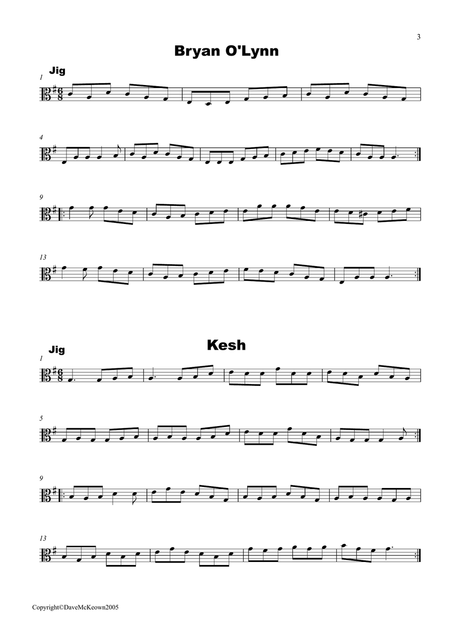 Irish Dance Music Vol.2 for Viola; 50 Jigs, Reels, Hornpipes and more.... Viola Solo scores gallery preview page 3