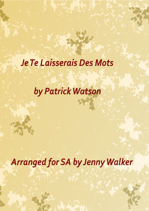 Book cover for Je Te Laisserai Des Mots