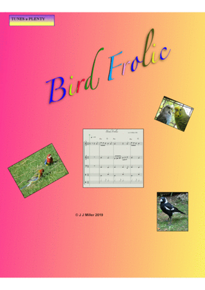 Bird Frolic